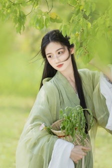 电视剧南来北往40集
